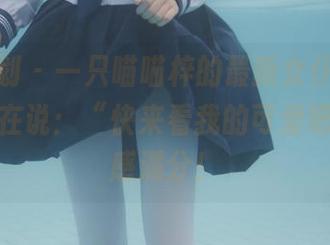 紧急企划 – 一只喵喵梓的最新女仆图片，每张都在说：“快来看我的可爱吧！”观感满分！