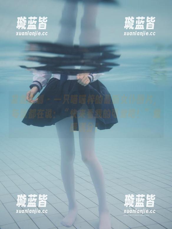 紧急企划 - 一只喵喵梓的最新女仆图片，每张都在说：“快来看我的可爱吧！”观感满分！
