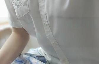 西尔酱和她的双马尾：写真强烈推荐给插画爱好者